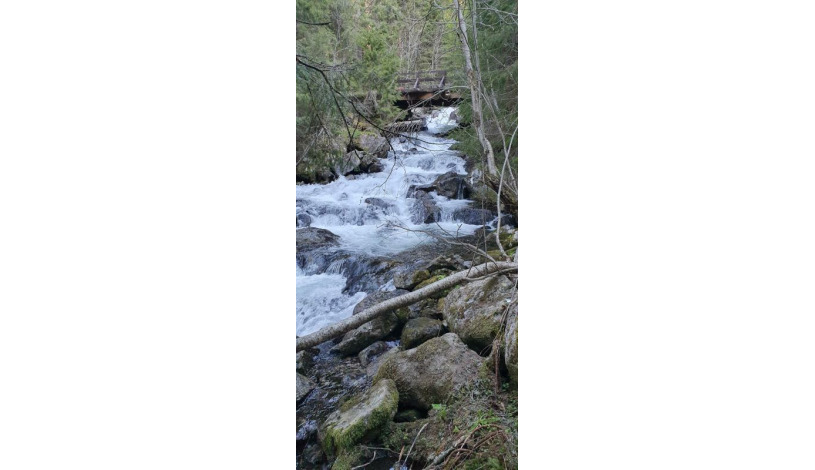 Hotel CROCUS **** Vysoké Tatry